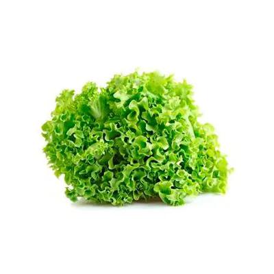 Repolho Verde Orgânico  bandeja 500g