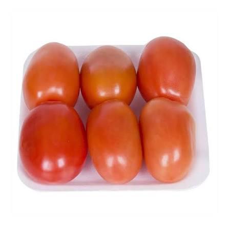 Tomate Italiano Organico bandeja 500g