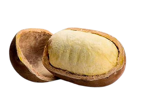 CUPUACU UNI