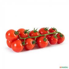 TOMATE RAMA 500G