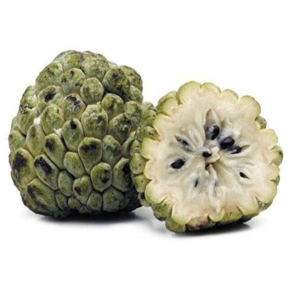 FRUTA DO CONDE UND