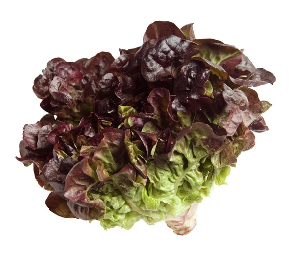 Alface Crespa Roxa 150gr Un