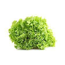 Alface Hidroponico Crespa 100gr Un