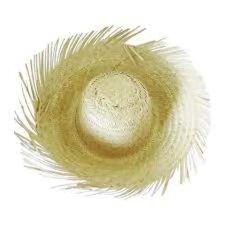 chapeu de palha desfiado cristal