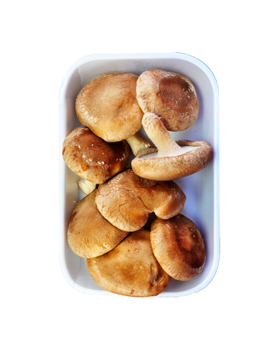 Cogumelo Shitake 200gr
