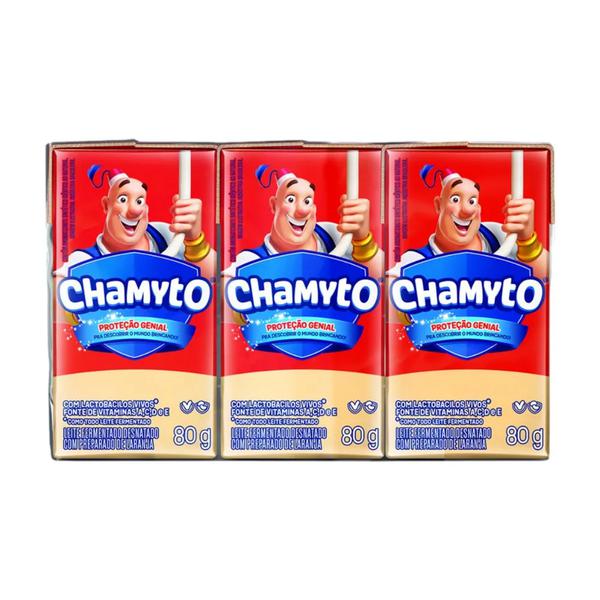 Leite Fermentado Tradicional Chamyto 480g