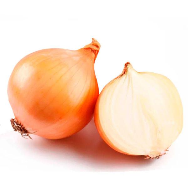 CEBOLA BRANCA GRAUDA KG