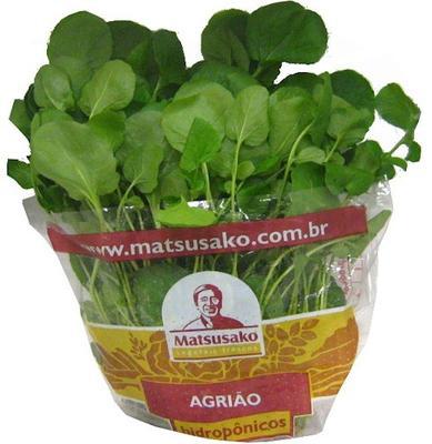 HORT AGRIAO HIDROPONICO UNI