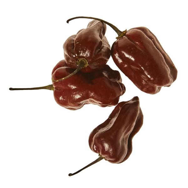 PIMENTA CHOCOLATE BANDEJA