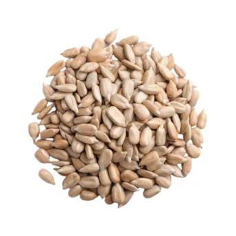 SEMENTE GIRASSOL S/ CASCA