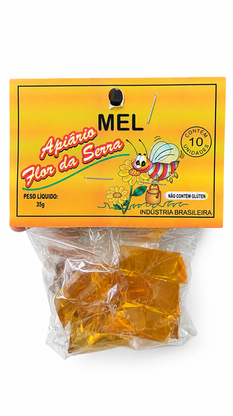 MEL APIARIO FLOR DA SERRA SH 35G
