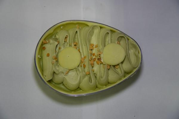 OVO DE PASCOA PISTACHE DA CASA 350G