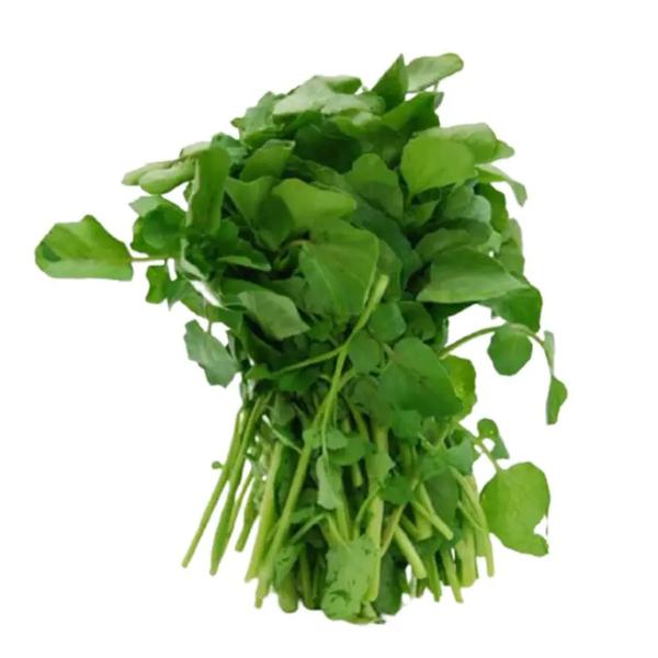 AGRIAO UND