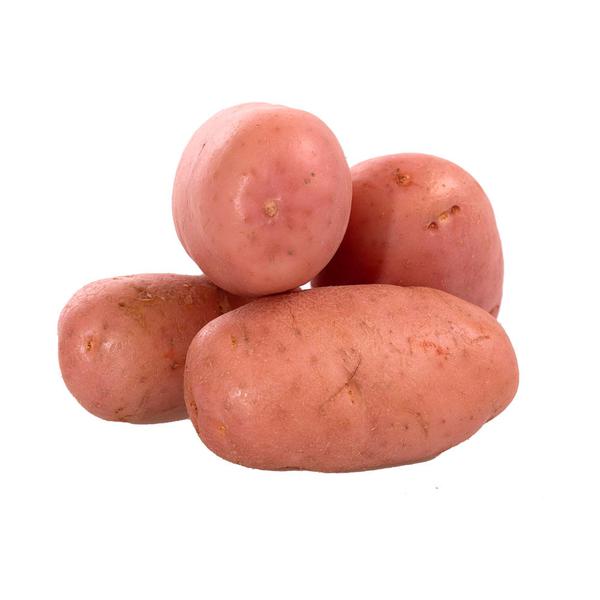 BATATA ASTERIX KG
