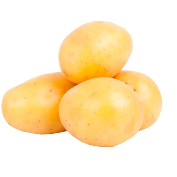 BATATA KG