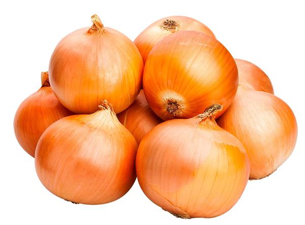 CEBOLA KG