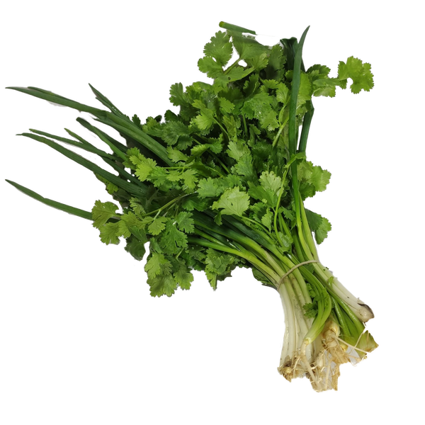 CHEIRO VERDE UND