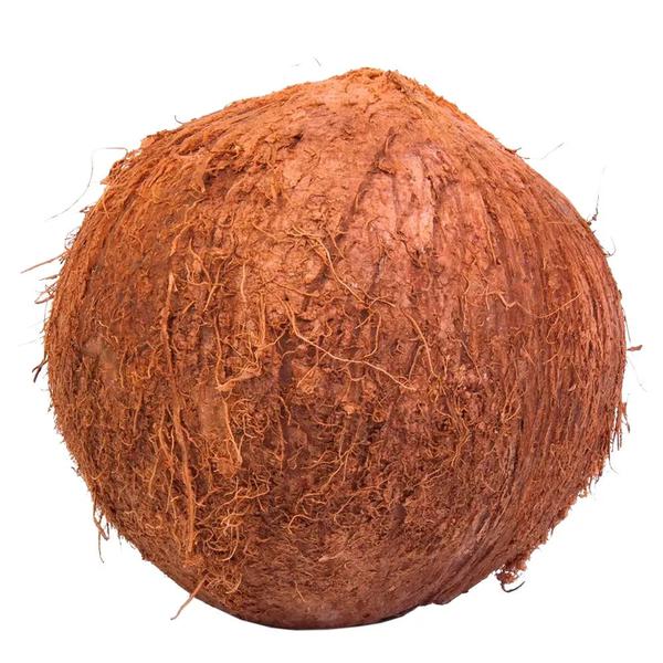 COCO SECO KG