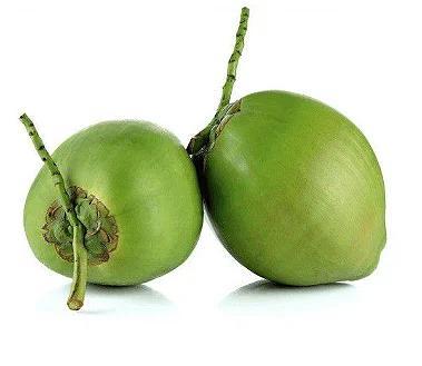 COCO VERDE UNIDADE