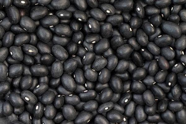 FEIJAO PRETO 1KG DA DA TIPO 1
