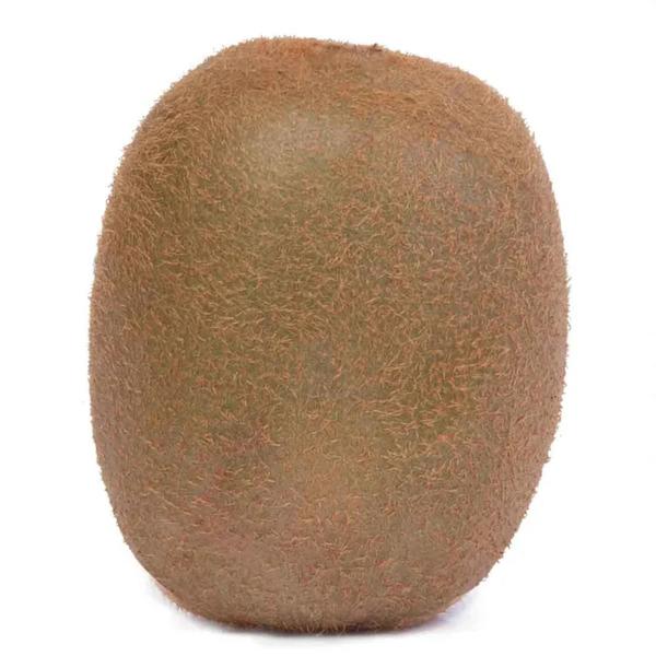 KIWI KG