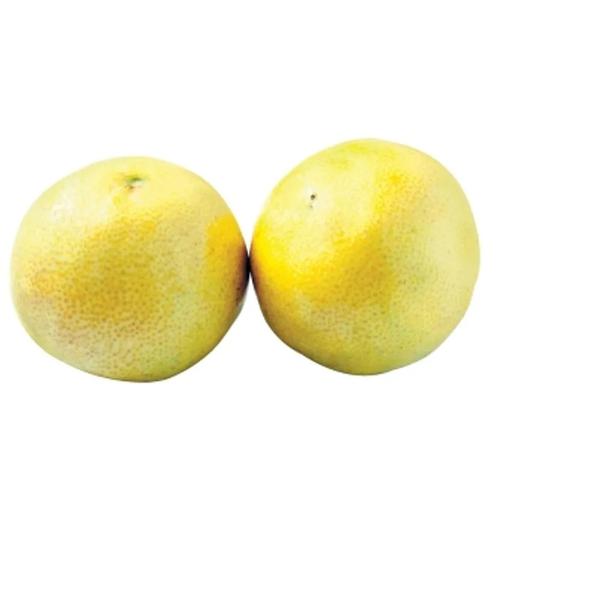 LARANJA LIMA KG