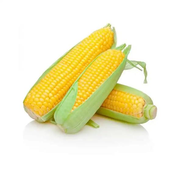 MILHO VERDE UND