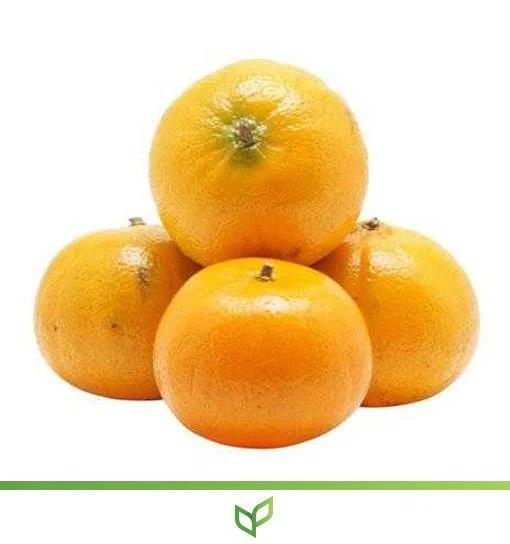 TANGERINA MURCOTE KG