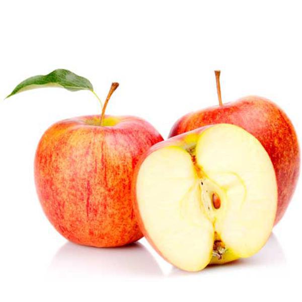 MACA KG