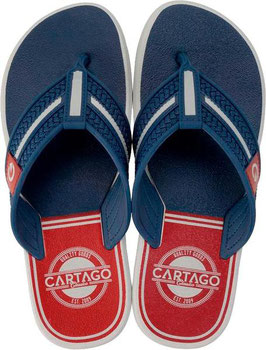 CARTAGO PALERMO 43/44 CINZA  AZUL VERM