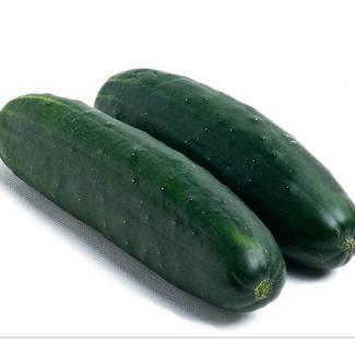 PEPINO PRETO kg