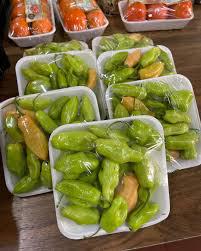 PIMENTA DE CHEIRO BANDEJA