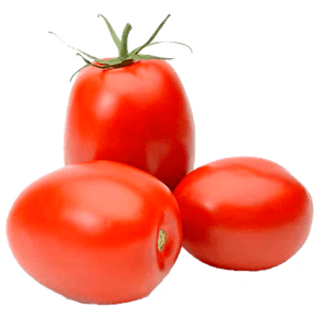 TOMATE ITALIANO kg