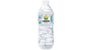AGUA MINERAL LINDOYA 510ML S/GAS