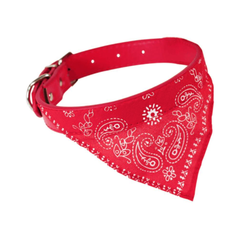 COLEI CACH COURO COM LENCO 39CM RF71