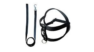 GUIA P/CAO PEITORAL NYLON 90CM PMGGG