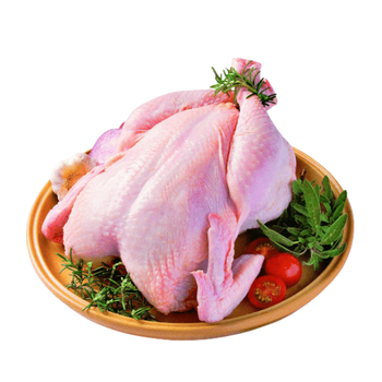 Galinha Inteira Cong Kg