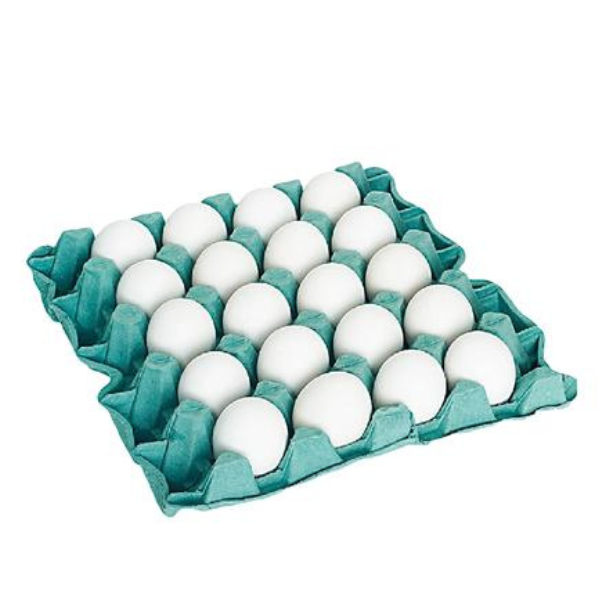Ovos Brancos Grandes Sao Jose Pvc 20un