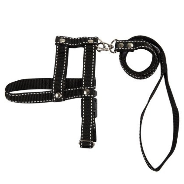 Peitoral e Guia Baw Waw Caes Pont