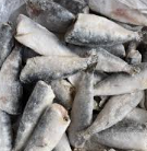 Peixe Sardinha Eviscerado Iglu Kg