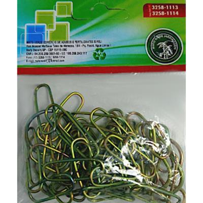 CORRENTAO GROSSO MATO VERDE