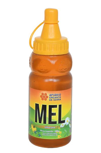 MEL PURO APIARIO CLAUDINO 280G