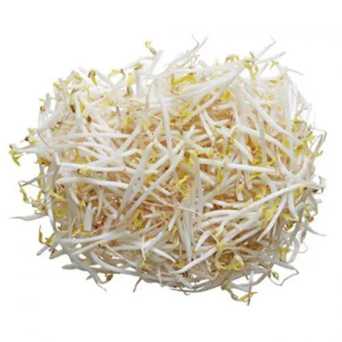 MOYASHI BROTO DE FEIJÃO 500G