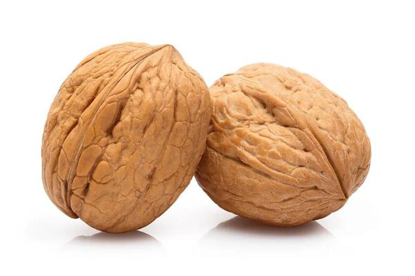 NOZES COM CASCA - KG