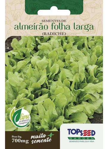 SEMENTES HORTI SEEDS 700MG