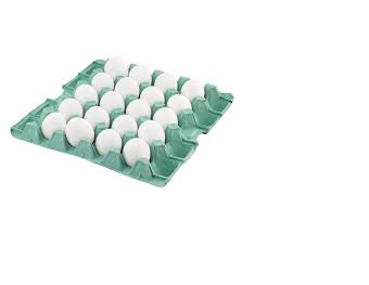 0531 EXTRA BRANCO- PVC 20 OVOS