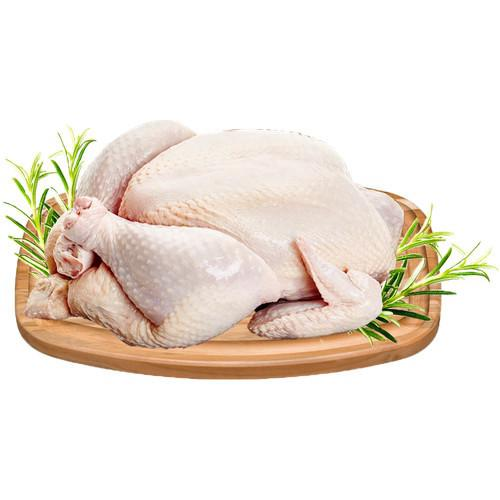 CARNE AVE KG FRANGO CONGELADO