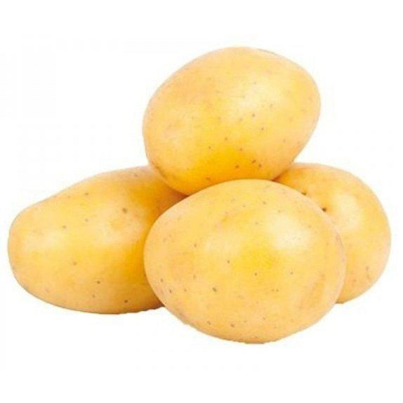 FLV KG BATATA M