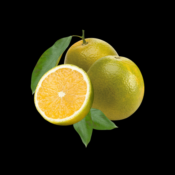 FLV KG LARANJA