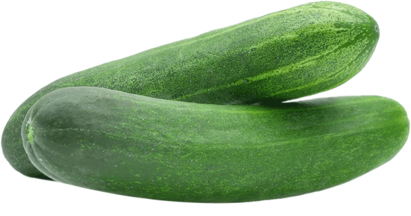 FLV KG PEPINO